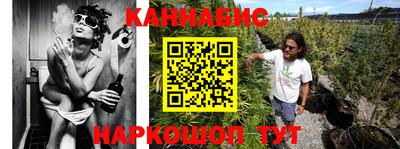 индика Тулун