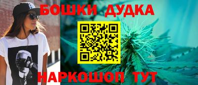 гашик Тула