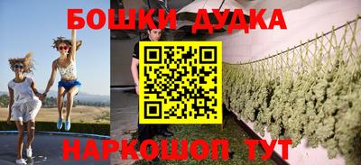 индика Тулун