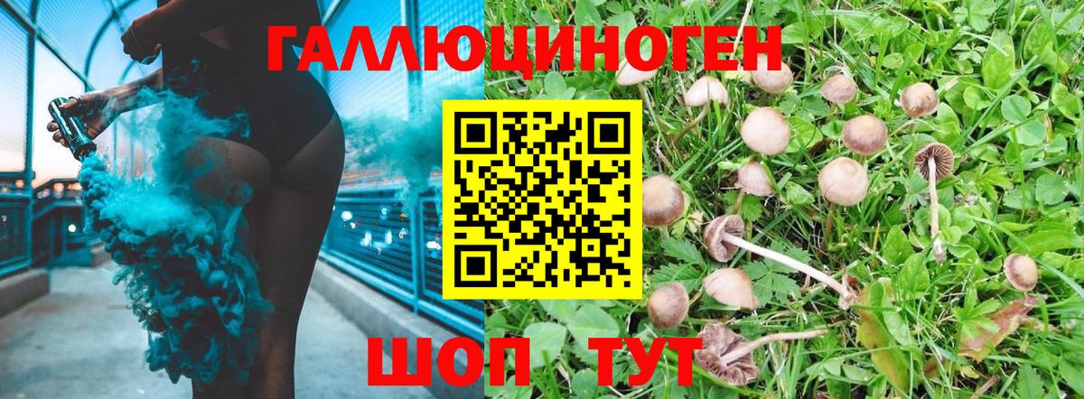 Галлюциногенные грибы MAGIC MUSHROOMS  Вход с VPN  Норильск 